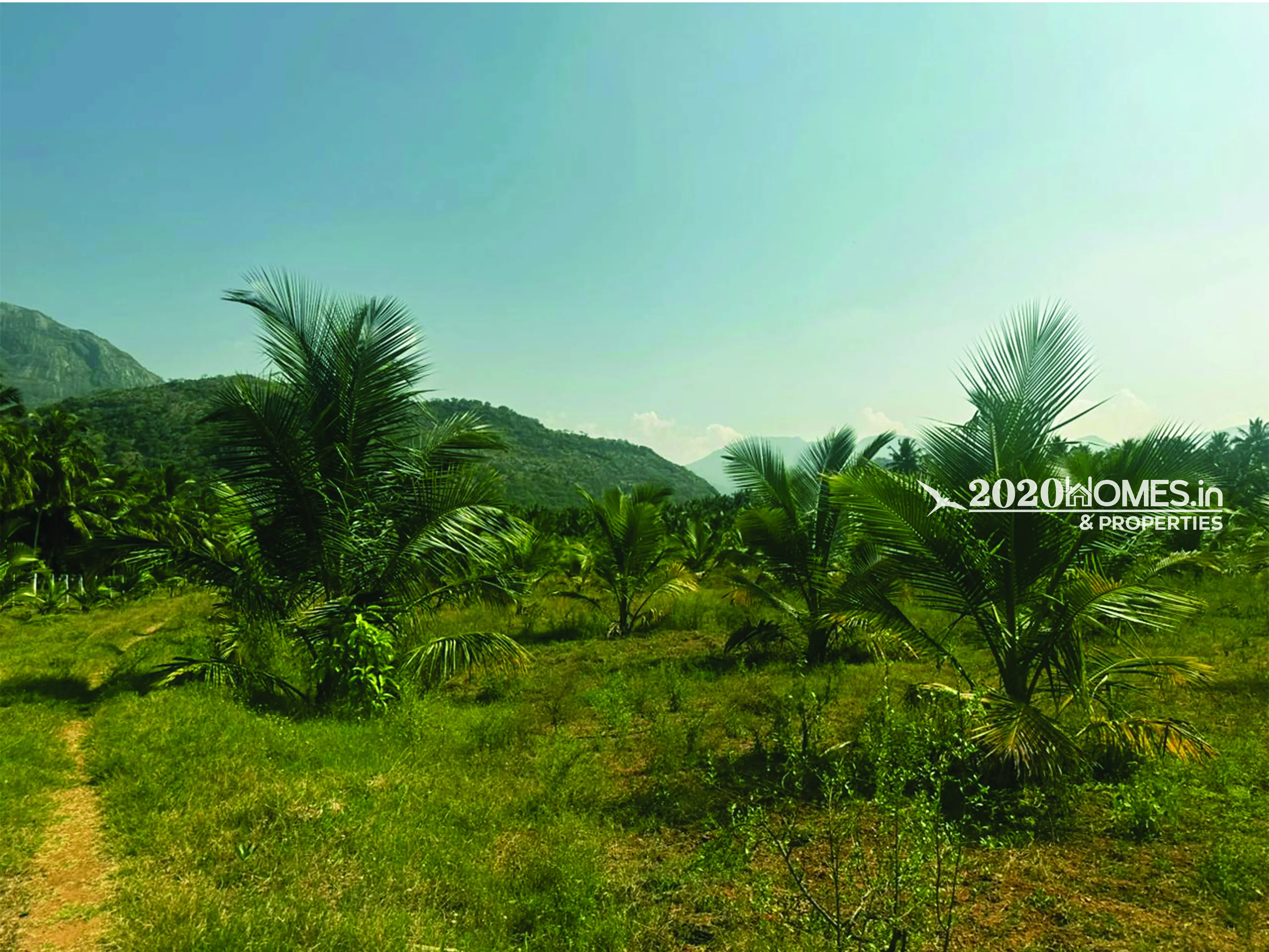 Angalakurichi GopalSwamy